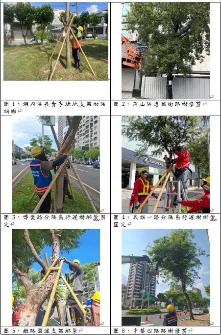 ▲工務局公園處已動員人力對所管轄的行道樹加強疏枝修剪及支架固定，並檢修路燈及開關箱等設施。（圖／高市工務局提供）