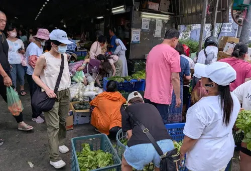 颱風搶菜買多少？高麗菜1顆、葉菜2天份　營養師大推「冷凍蔬菜」