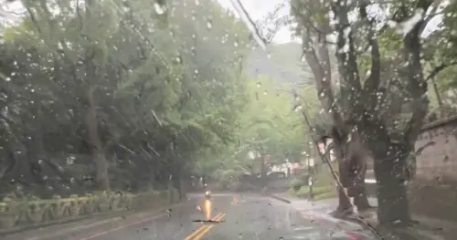 陽明山「10級強風」狂襲！文化大學風雨太大　學生、騎士被吹著走