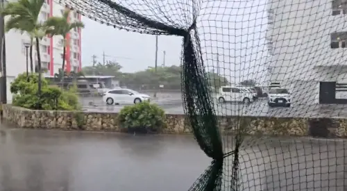 巴威風雨實況曝光！美追風人揭日本「1神級防颱裝置」：防砸保命