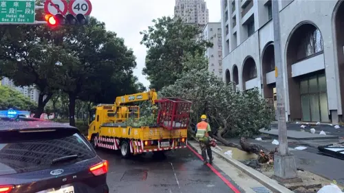 ▲台中也有多處路樹倒塌（圖／台中市警察局提供）