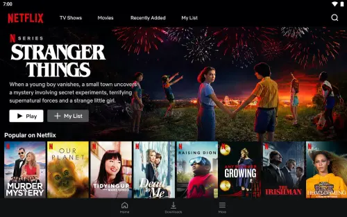 ▲Netflix 正研究推出「直播頻道」，希望透過固定時段播放內容，提升觀眾停留時間與平台黏著度。（圖／翻攝自 Netflix）