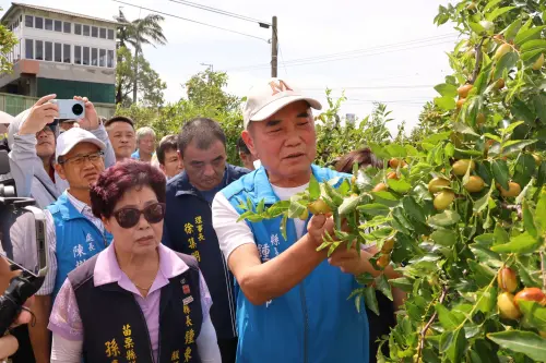 ▲苗栗縣長鍾東錦今（12）日與立委邱鎮軍、農糧署北區分署林傳琦以及各級民意代表到公館鄉關心紅棗裂果狀況。（圖／苗栗縣政府提供）