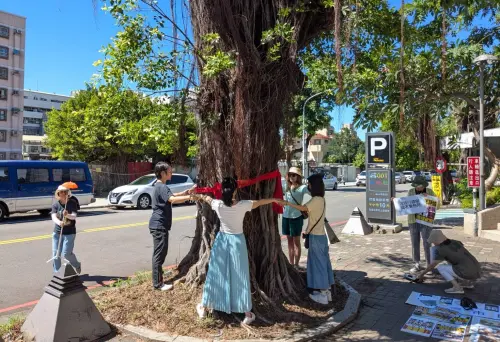 府後街老榕去留掀戰火！護樹團體怒轟粗暴砍樹 市府：安全不能等
