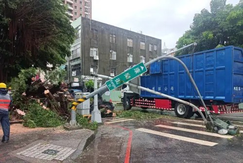 ▲台中市政府出示2年前老榕樹砸毀號誌和車輛的畫面，強調有不得不移除的理由。（圖／台中市政府提供，2026.07.15）