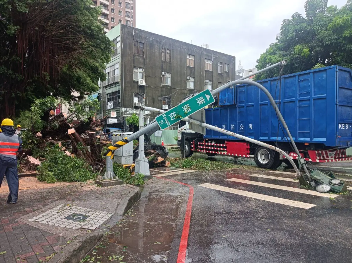 ▲發生樹木倒塌情況影響路邊停車及路口號誌(圖／交通局提供2026.7.15)