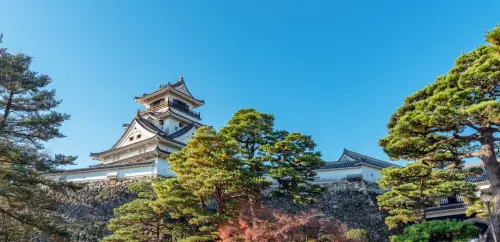 特企／高知直航3年！高知縣Ｘ台灣虎航Ｘ燦星旅遊發布觀光新藍圖