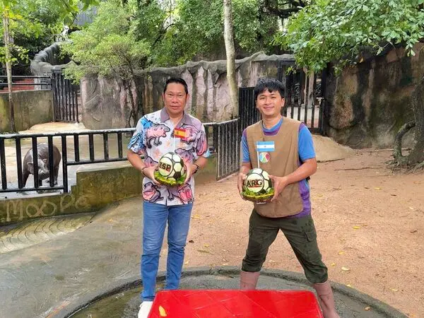 ▲阿根廷有豬助陣!泰國萌河馬押寶世足冠軍(圖/截自X)