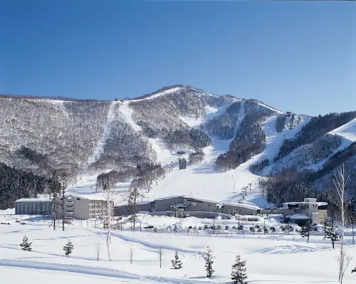 ▲雄獅旅遊2025冬季滑雪團人數年增3成。（圖／雄獅旅遊 liontravel.com）