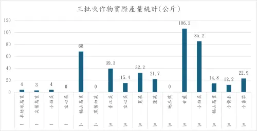 ▲星耀於雲林口湖不適耕作地推動光電結合農業試驗計畫，透過土壤改良、多遮蔽率設計與智慧化管理，成功提升作物適應性，福山萵苣、甘藍及小白菜等作物收成表現亮眼。（圖／業者提供）