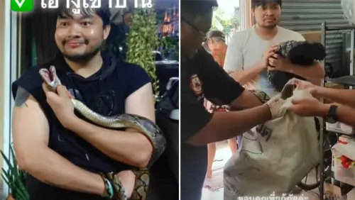 醉漢徒手抓蟒蛇回家養！隔天酒醒見救援隊上門　傻眼問：我抓的？