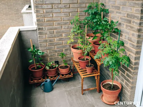 ▲陽台擺放植栽宜選用有腳架的盆器架高，避免阻礙排水孔引發積水與漏水問題。（圖／21世紀不動產提供）