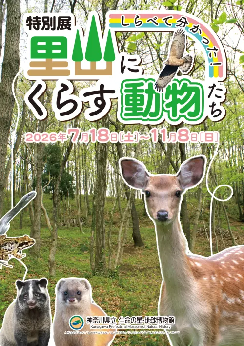 ▲日本神奈川縣小田原市的自然科學博物館「生命之星・地球博物館」釋出特展資訊。（圖／翻攝自X@seimeinohoshiPR）
