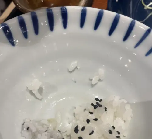 ▲比飯粒小很多的陶瓷碎片（中），不仔細觀察很難發現。（圖／張家銨提供，2026.07.24）
