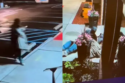 愛犬車禍命危！流浪漢「緊抱家人」睡獸醫院門口　監視器惹哭萬人