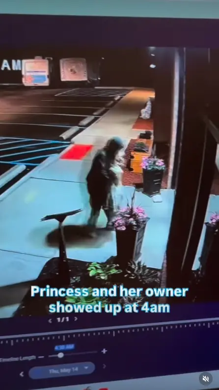 ▲▼流浪漢柯蒂斯因愛犬「公主（Princess）」遭車撞受傷，雖無力負擔急診醫療費，卻仍在凌晨抱著受傷的狗狗，步行到非營利的亞西西天使動物醫院，在門口裹著毛毯席地而睡，苦等醫院開門。（圖／翻攝自IG@angelsofassisi）