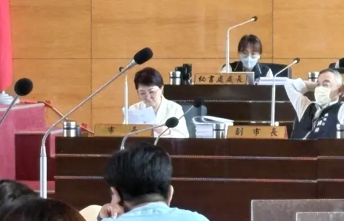 議會遭綠營猛轟、離場遇倒閣追問　盧秀燕「愣一下」反應曝光