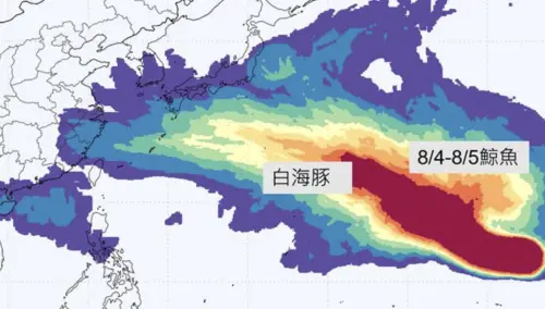 不只白海豚！「鯨魚颱風」最快下周接力生成　預估路徑也往西北