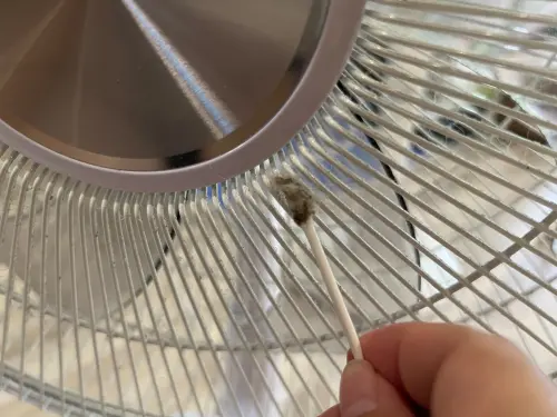 ▲將棉花棒伸入電風扇外框網格細縫轉動，可將夾在裡面的灰塵與毛絮掏出。（圖／記者徐銘穗攝）