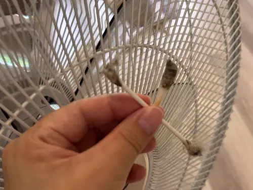 ▲擦拭完僅約 15 度的扇面縫隙，兩根棉花棒三個頭就已經沾滿厚厚的灰塵與毛絮。（圖／記者徐銘穗攝）