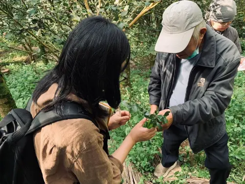 苦茶油自主驗出苯駢芘超標！永豐餘生技致歉：全額退費