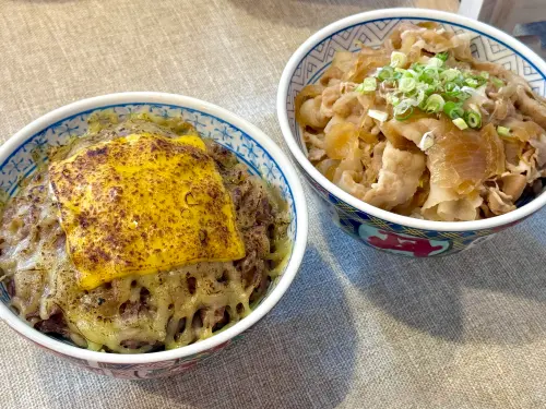 ▲左起：「起司和牛牛肉丼」290元、「招牌豬肉丼」180元。（圖／記者蕭涵云攝）
