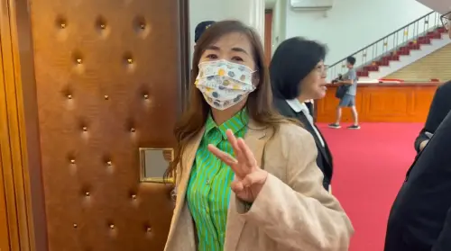 林宜瑾還原飆髒話真相！怒轟羅廷瑋折磨全場：非常糟糕的一名召委
