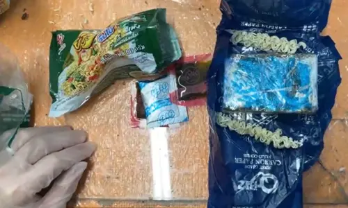 澈底瓦解運毒集團！保三總隊二大隊偵破越南籍男子走私大麻入境