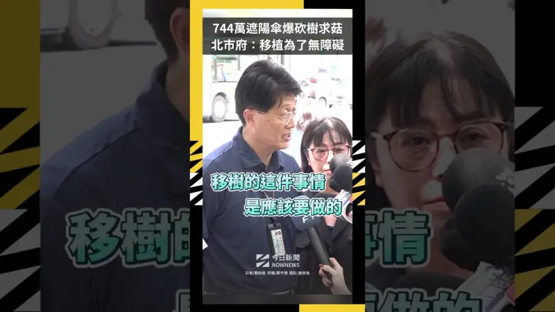744萬遮陽傘爆「砍樹求菇」北市府：移植為了無障礙