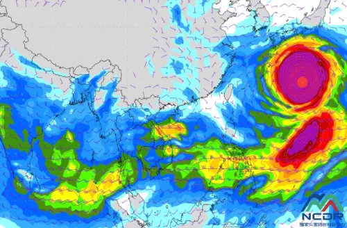 外圍環流會掃到！白海豚「最新侵襲台灣機率」　風雨這4天最劇烈