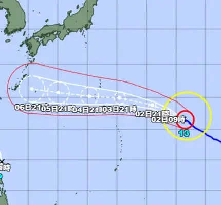 白海豚颱風恐吃掉鯨魚？