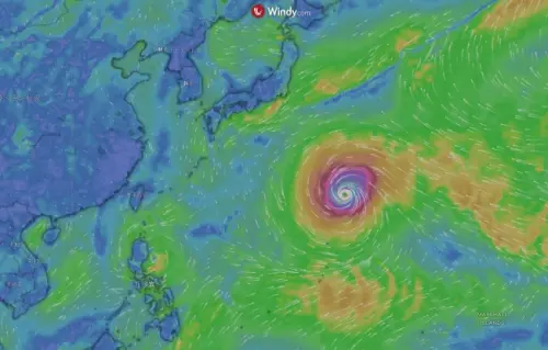 颱風動態整理！白海豚「路徑、會登陸嗎、風雨、暴風侵襲率」一覽