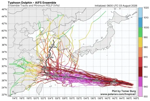 ▲白海豚颱風歐洲AIFS系集路徑預測。（圖／polarwx）
