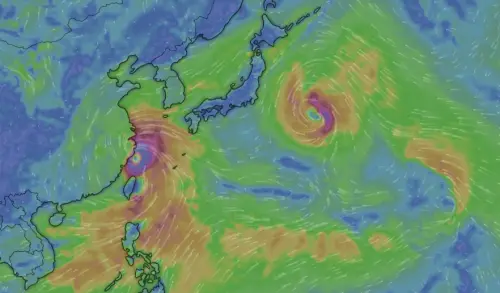 ▲鯨魚颱風生成後，高機率會在日本南方海面北轉，屆時白海豚颱風則在台灣北部海面。（圖／翻攝NCDR）