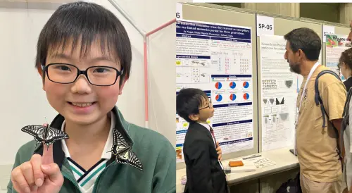 蝴蝶記得自己曾是毛毛蟲嗎？日本小學生研究太驚豔　學者也好奇