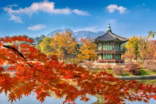 下半年出國想搶便宜機票！3家旅遊平台齊推優惠　飛首爾僅3888元