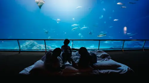 ▲夜宿海生館廣受親子喜愛。（圖／屏東海生館提供）