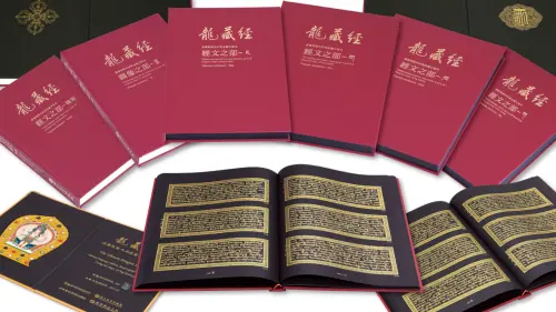 不想排隊看龍藏經？文博會188萬套書打7折　店員：有人現金買原價