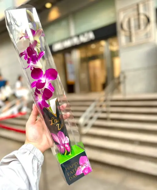 ▲DREAM PLAZA 8月7日至8月9日會員於全館指定店櫃消費滿2000元贈一朵「空運進口石斛蘭」，每會員每日限兌換1朵。（圖／取自DREAM PLAZA）