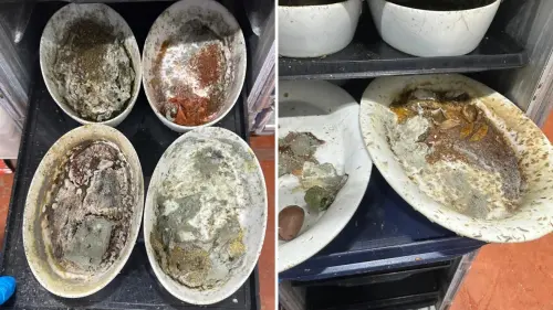 餐具發霉爬滿蛆蟲竟洗洗再用！員工怒檢舉　飛機餐空廚爆食安危機