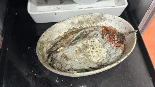 ▲美國洛杉磯國際機場（LAX）旁的一家知名航空餐勤公司，近日遭爆出食安與工作環境不佳的問題。（圖／UNITE HERE Local 11）