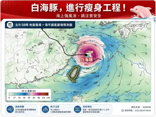 颱風變瘦「生命倒數計時」！白海豚估下半天轉輕颱　海警明將解除