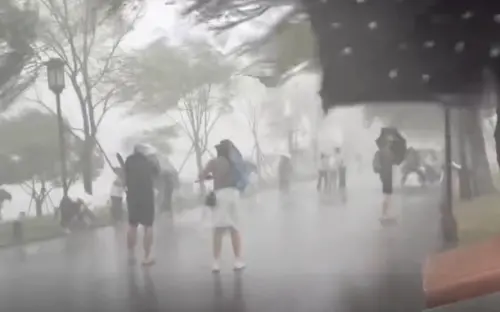 白海豚颱風登陸浙江玉環！挾14級風創「最遠生成」登中國歷史紀錄