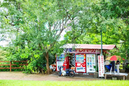 ▲今屋漢堡福岡西公園總店，目前氣候炎熱，暫時放暑假未營業。（圖／今屋漢堡imayahamburger.com）