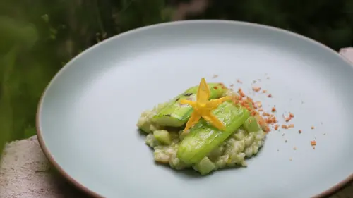 ▲「絲瓜燉飯佐櫻花蝦」翻轉了傳統義式燉飯的印象。主廚以特級初榨橄欖油取代鮮奶油，透過乳化技法讓橄欖油與米飯自然融合，創造細緻滑順卻更加輕盈的口感。（圖／OLIVIERS&CO.提供）