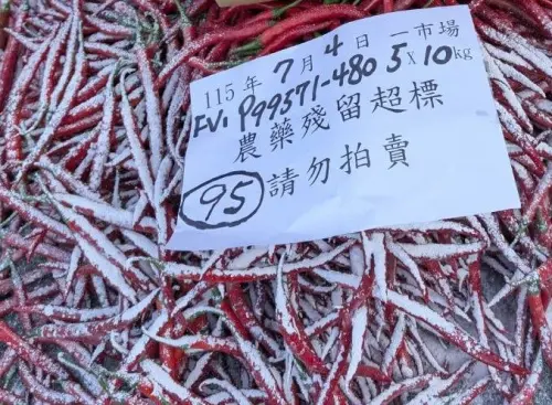 ▲市場處昨（12）日公布台北農產公司 115 年 7 月份批發市場蔬果農藥殘留監測結果，小白菜、辣椒及菜豆為不合格的大宗。（圖／北市市場處）