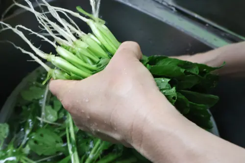 ▲王竣平分享菠菜清洗正確方式，提醒一定要謹記「沖、泡、流」3步驟。（圖／取自photoAC）