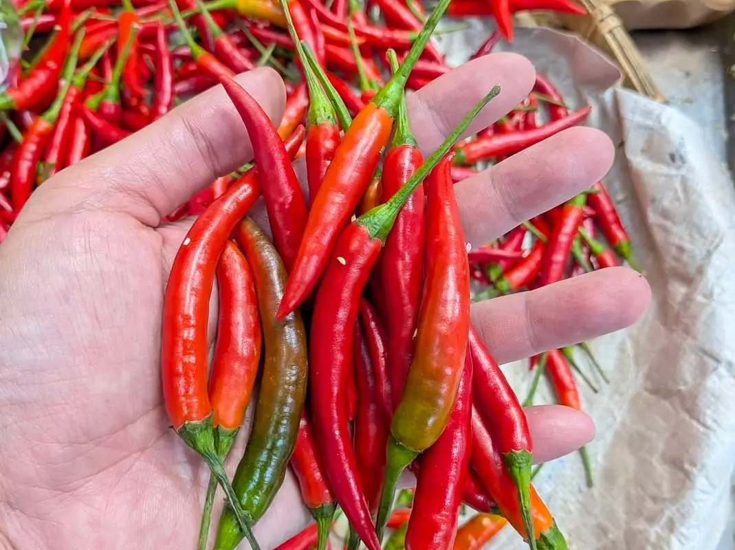 ▲每次的批發市場蔬果農藥殘留監測結果中，小白菜、辣椒及菜豆經常是超標名單。（圖／翻攝廖炯程臉書）