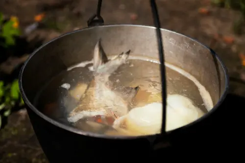 ▲魚肉何時下鍋各有擁護者，「冷水下鍋派」追求湯頭鮮甜，「滾水下鍋派」講究魚肉嫩口。（圖／Unsplash）