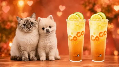 ▲七夕情人節CoCo都可「粉角檸檬冬瓜買一送一」手搖飲料優惠。（圖／CoCo都可cocofreshtea.ca）
